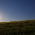 a summer evening in the fields