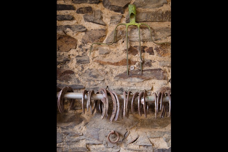 Horseshoes
