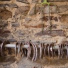 Horseshoes