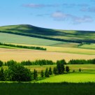 Farm