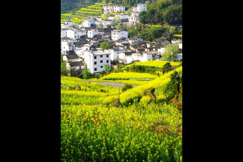 Village