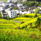 Village
