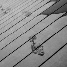 footprint