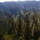 Stone forest