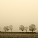 Winter fog