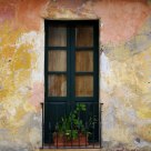 The windows