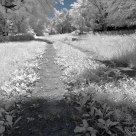Long Dim Road