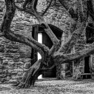 The Doorway