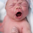 The Scream