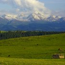 Grassland and mountain