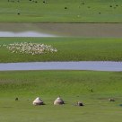 Beautiful Bayinbuluke Grassland