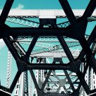 Web of Steel