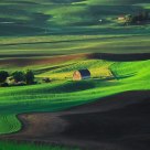 Palouse Morning
