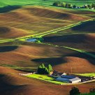 Palouse Morning