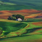 Palouse Sunset