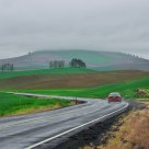 Palouse Raining