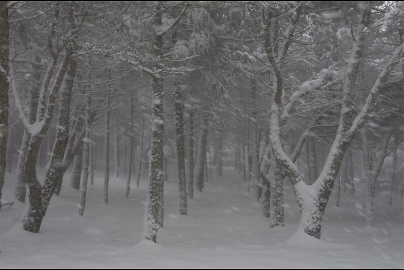 snow storm