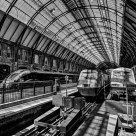 Workhorses