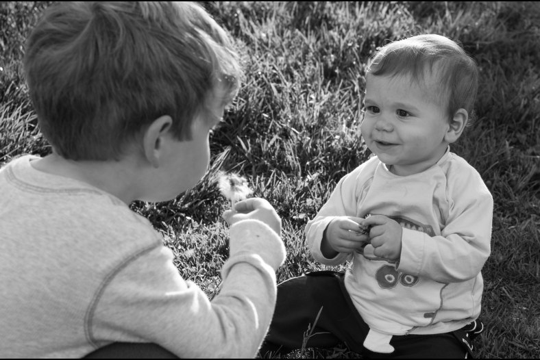 Brothers