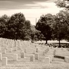 Arlington 