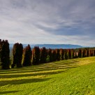 RJ hamer forest arboretum