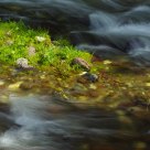 Bourn in spring