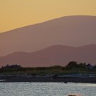 Playful Dusk