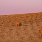 Harvest