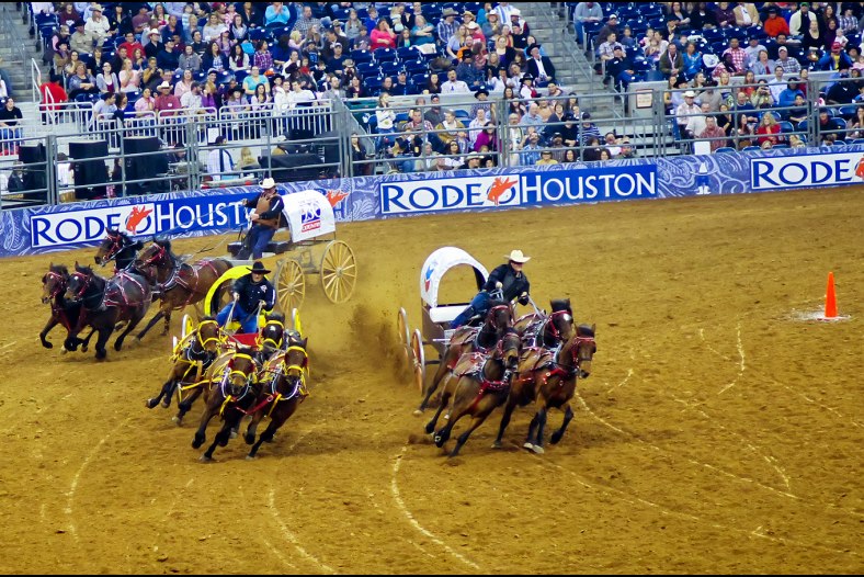 Rodeo