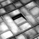The Window