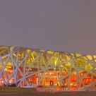 The Bird Nest at Night