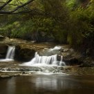 Jamison Creek