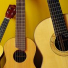 Guitar Family
