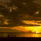 Sunset Moment