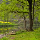 Beautiful riverside