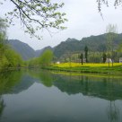 Beautiful inverted image in river