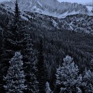 TOP OF -