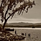 Summer on the River