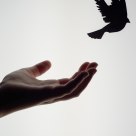 Letting Go