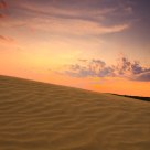 Desert Sunset