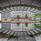 Ayala Triangle's Eye
