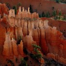 Bryce Canyon View