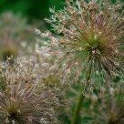 Small worlds