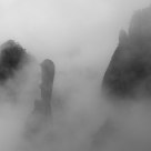 Fog