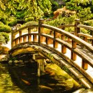 Japanese Garden