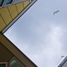 kubus woningen