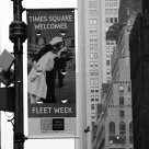 Fleet week