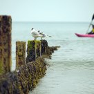 Isle Of Wight