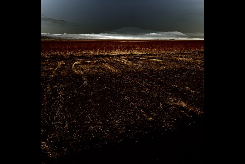 Wasteland