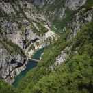 Piva